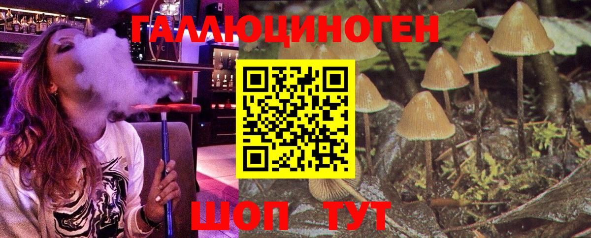 Псилоцибиновые грибы Magic Shrooms  Псилоцибиновые грибы Cubensis  Истра  Вход с VPN 